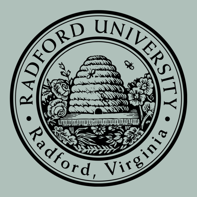 Radford University Heavyweight Hoodie by artisFamous | Teevron