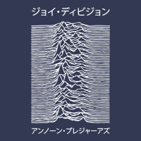 Joy Division Pleasures  Japanese Heavyweight Hoodie | Teevron