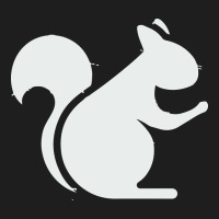 Squirrel Heavyweight Hoodie | Teevron