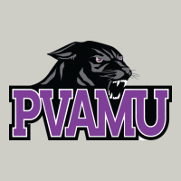 Prairie View A&m Panthers And Lady Panthers Heavyweight Hoodie | Teevron