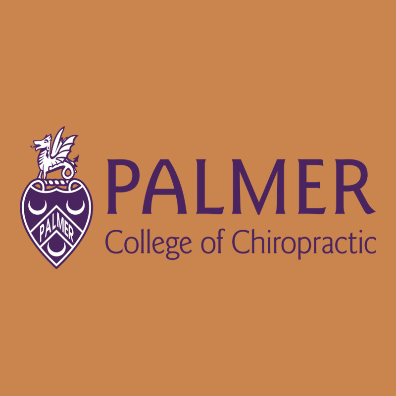 Palmer College Of Chiropractic Heavyweight Hoodie by artisFamous | Teevron