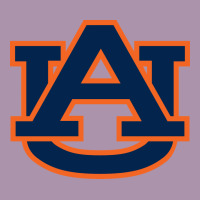 Auburn Tigers Heavyweight Hoodie | Teevron