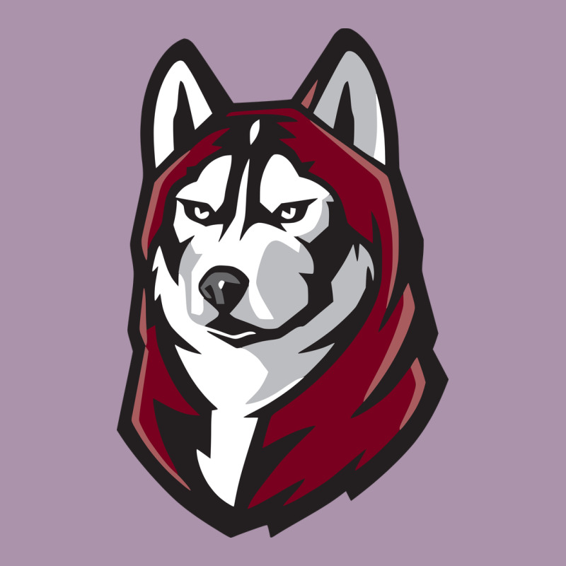 Bloomsburg Huskies Heavyweight Hoodie by artisFamous | Teevron