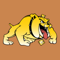 Bowie State Bulldogs Heavyweight Hoodie | Teevron