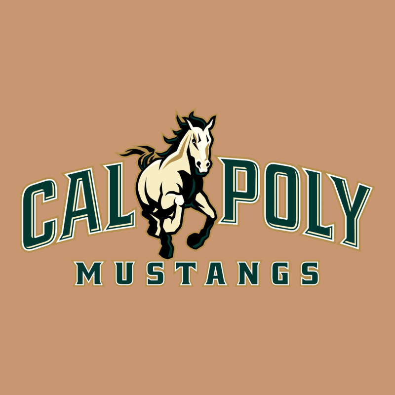 Cal Poly Mustangs Heavyweight Hoodie by artisFamous | Teevron