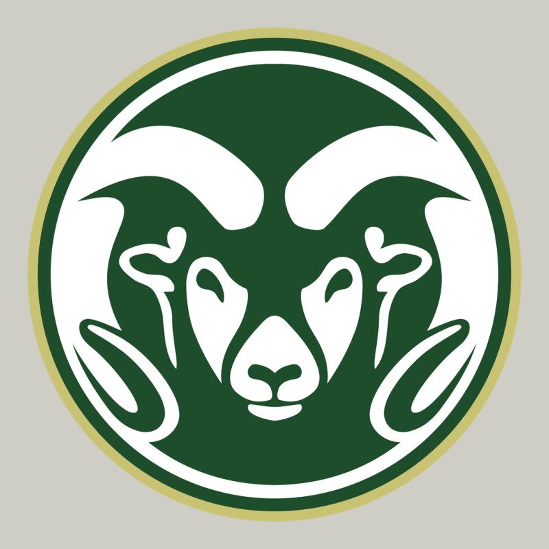 Colorado State Rams Heavyweight Hoodie by artisFamous | Teevron