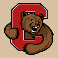 Cornell Big Red Heavyweight Hoodie | Teevron