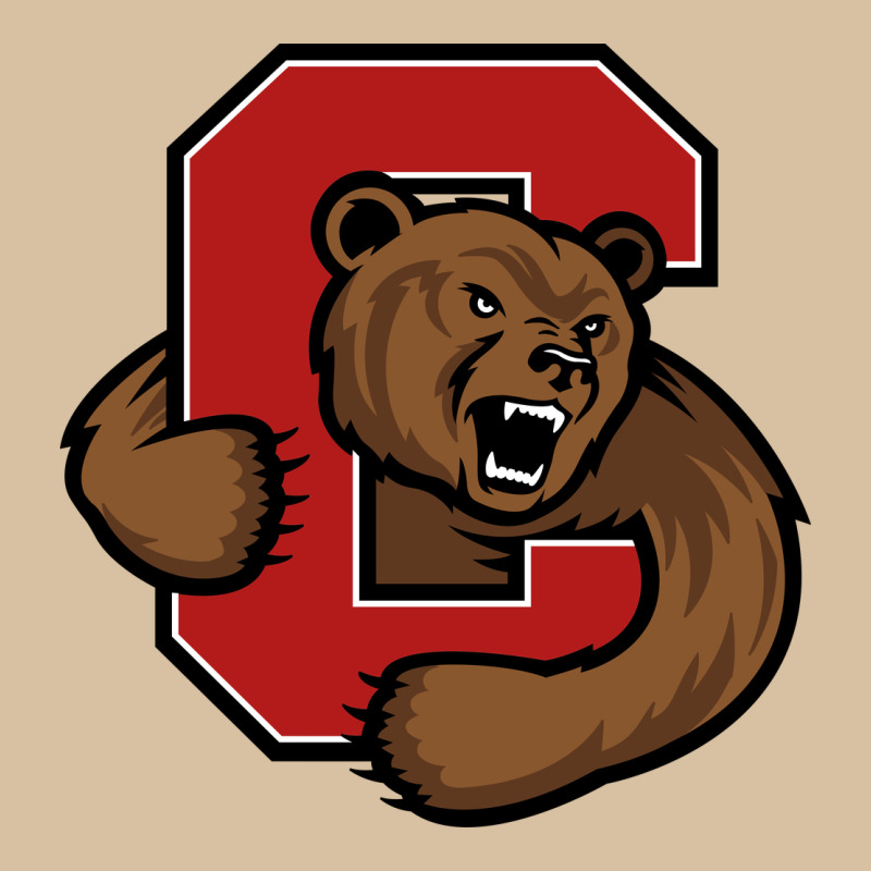 Cornell Big Red Heavyweight Hoodie by artisFamous | Teevron