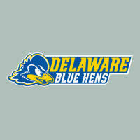 Delaware Fightin' Blue Hens Heavyweight Hoodie | Teevron