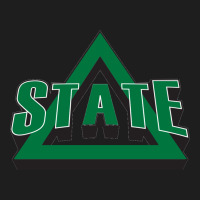 Delta State Athletics Heavyweight Hoodie | Teevron
