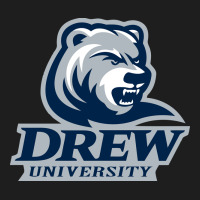 Drew University Heavyweight Hoodie | Teevron