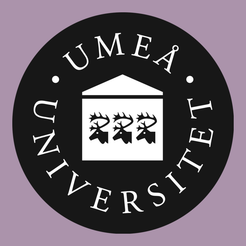 Umeå University Heavyweight Hoodie by artisFamous | Teevron