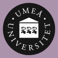 Umeå University Heavyweight Hoodie | Teevron