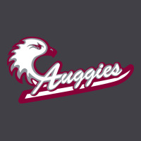 Augsburg University Heavyweight Hoodie | Teevron