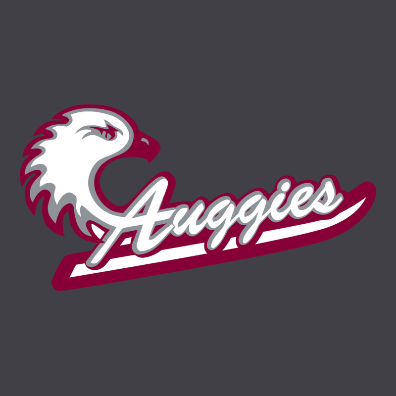 Augsburg University Heavyweight Hoodie by artisFamous | Teevron
