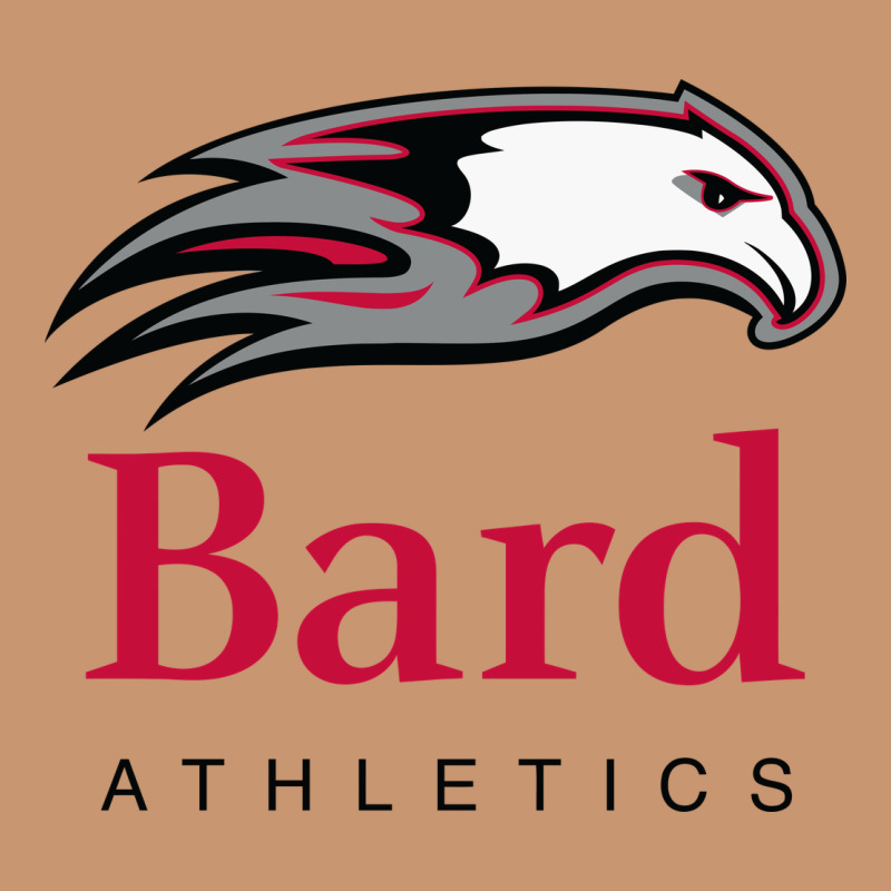 Bard College Athletics Heavyweight Hoodie by artisFamous | Teevron