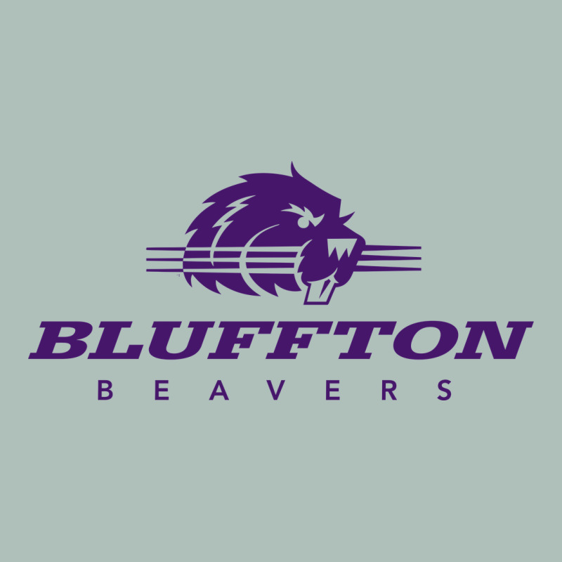 Bluffton University Heavyweight Hoodie by artisFamous | Teevron