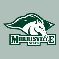 Morrisville State College Heavyweight Hoodie | Teevron