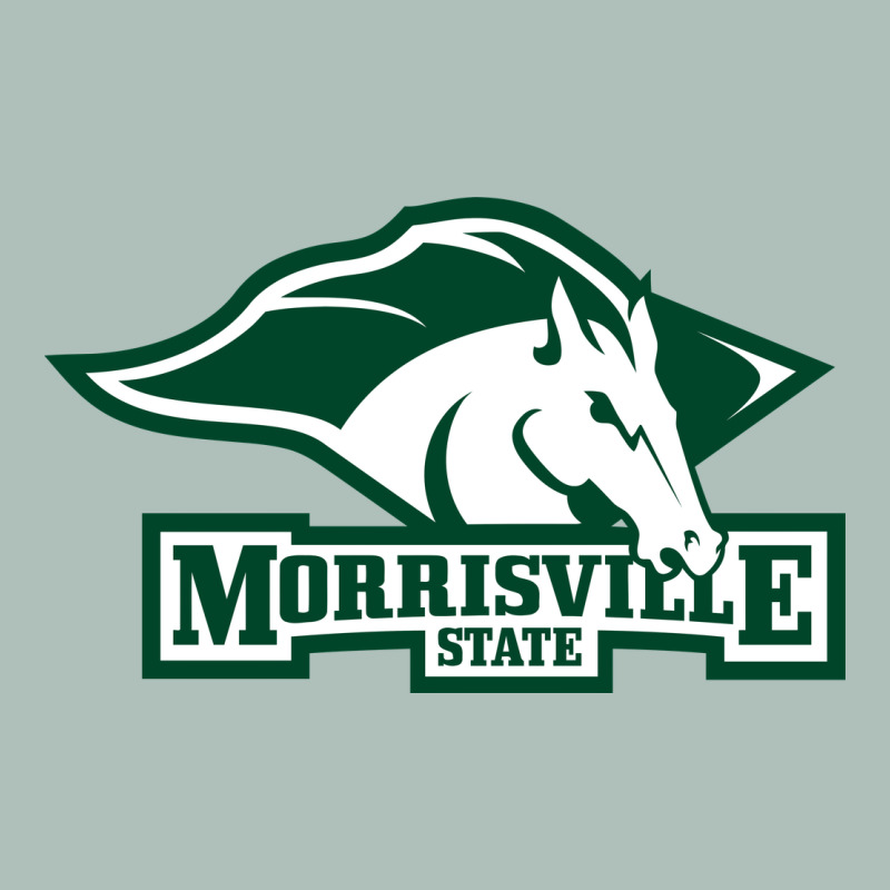 Morrisville State College Heavyweight Hoodie by artisFamous | Teevron