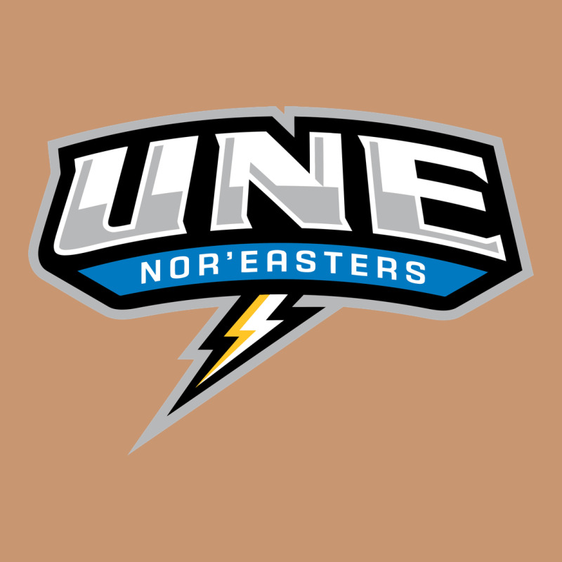 New England University Heavyweight Hoodie by artisFamous | Teevron