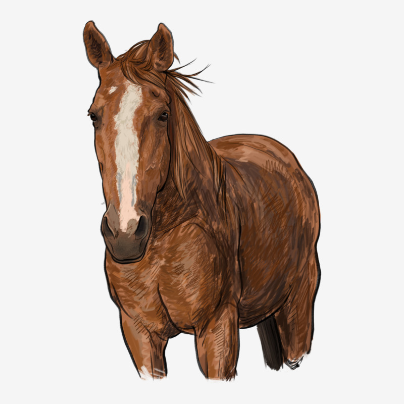 Brown Horse Urban Hoodie by RanaPortraitStore | Teevron