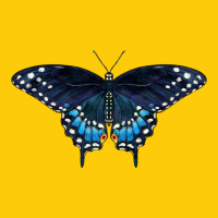 Black Swallowtail Butterfly Premium Hoodie | Teevron