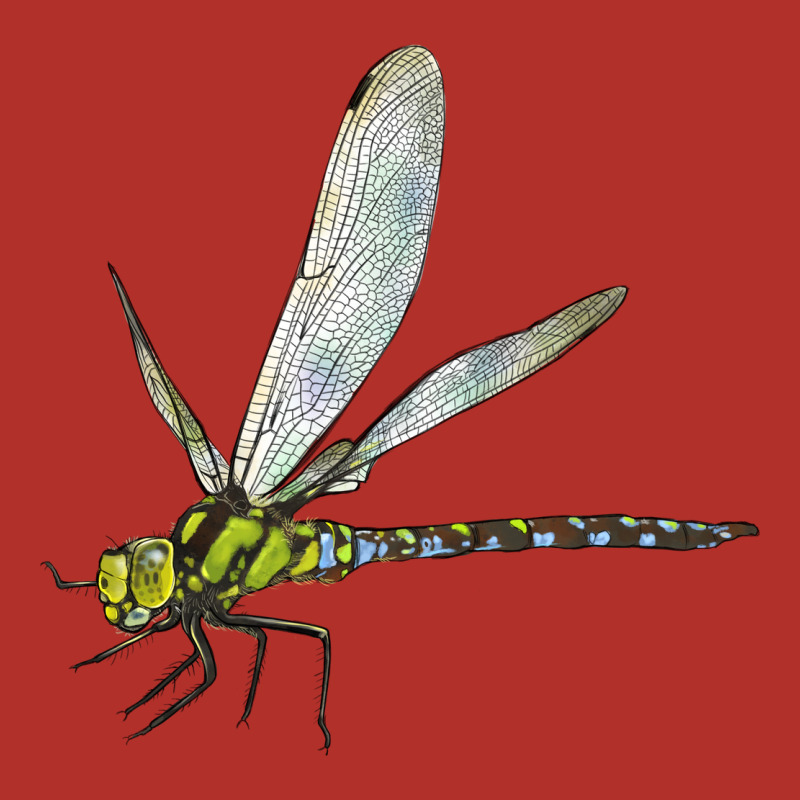 Blue And Yellow Dragonfly Premium Hoodie by LillyAllenDesigns | Teevron