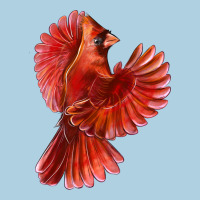 Flying Northern Cardinal Bird Premium Hoodie | Teevron