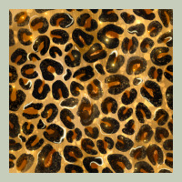 Leopard Seamless Pattern Long Sleeve Tee | Teevron