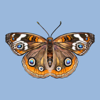 Common Buckeye Butterfly Premium Hoodie | Teevron