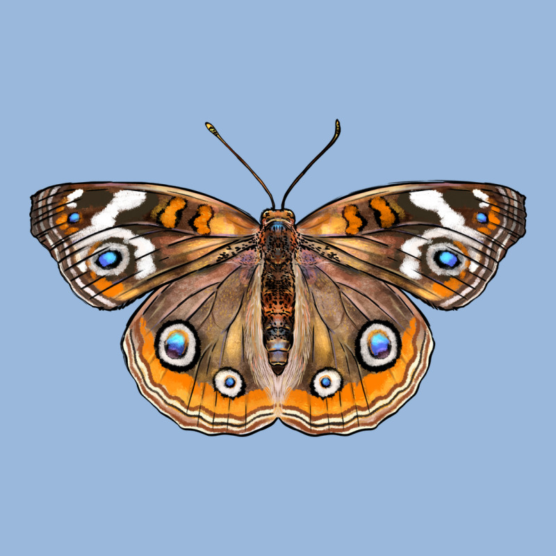 Common Buckeye Butterfly Premium Hoodie by LillyAllenDesigns | Teevron