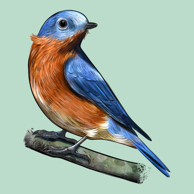 Eastern Bluebird Premium Hoodie by LillyAllenDesigns | Teevron