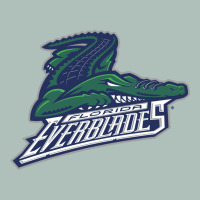 Florida Everblades Heavyweight Hoodie | Teevron
