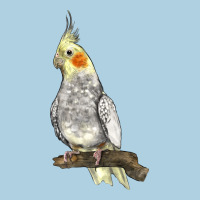 Cocktail Parrot Premium Hoodie | Teevron