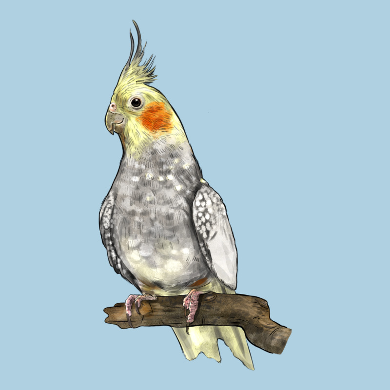 Cocktail Parrot Premium Hoodie by LillyAllenDesigns | Teevron