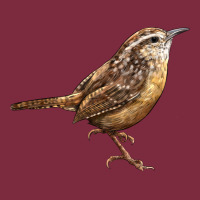 Ccarolina Wren Premium Hoodie | Teevron