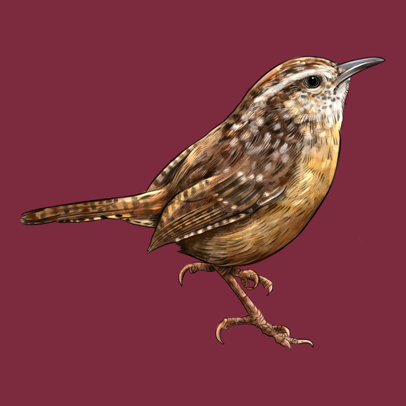 Ccarolina Wren Premium Hoodie by LillyAllenDesigns | Teevron