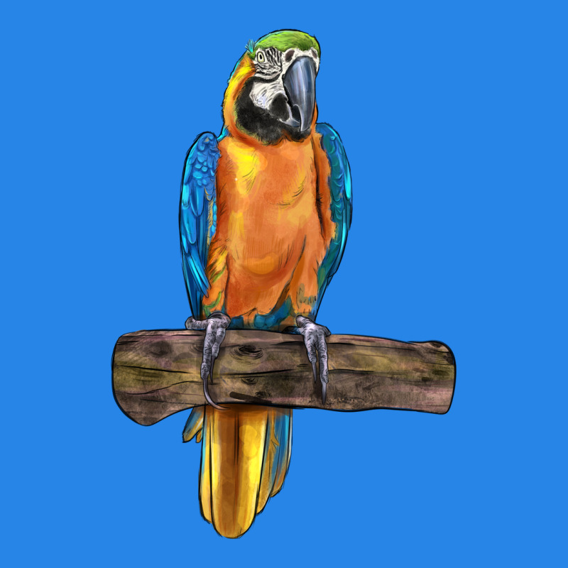 Blue Throated Macaw Premium Hoodie by LillyAllenDesigns | Teevron