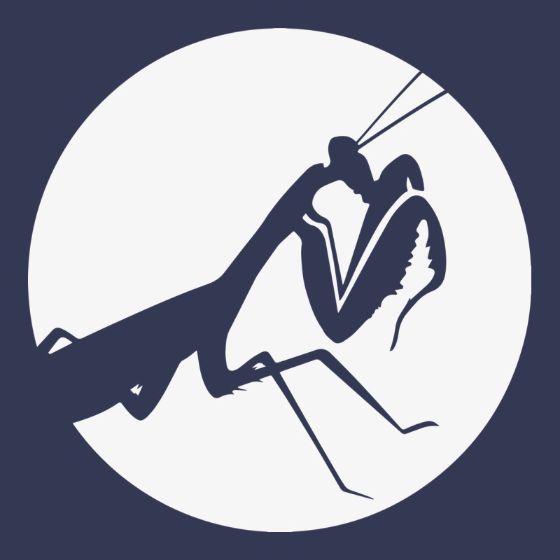 Praying Mantis Heavyweight Hoodie by DesigneFamous | Teevron