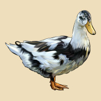 Ancona Duck Premium Hoodie | Teevron
