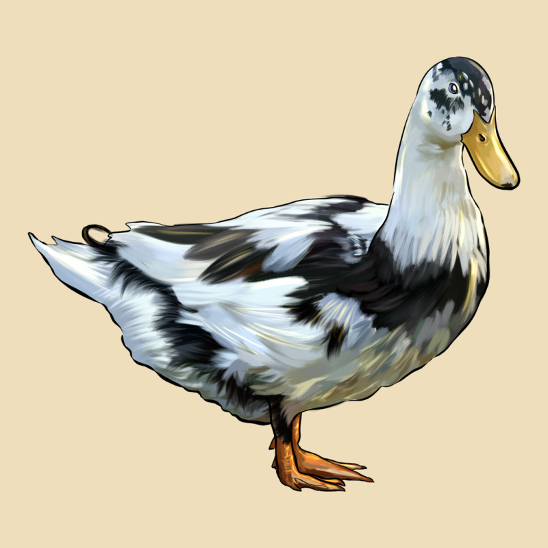 Ancona Duck Premium Hoodie by LillyAllenDesigns | Teevron