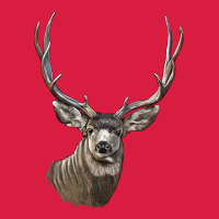 Mule Buck Deer Head Premium Hoodie | Teevron