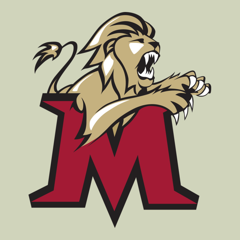 Lions, Molloy College Heavyweight Hoodie by linhVisuals | Teevron