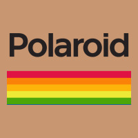 Polaroid Color Spectrum Horizontal Heavyweight Hoodie | Teevron
