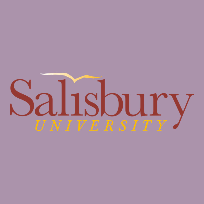Salisbury University Heavyweight Hoodie by linhVisuals | Teevron