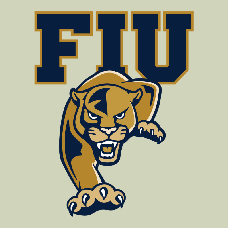 The Fiu Panthers Heavyweight Hoodie by linhVisuals | Teevron