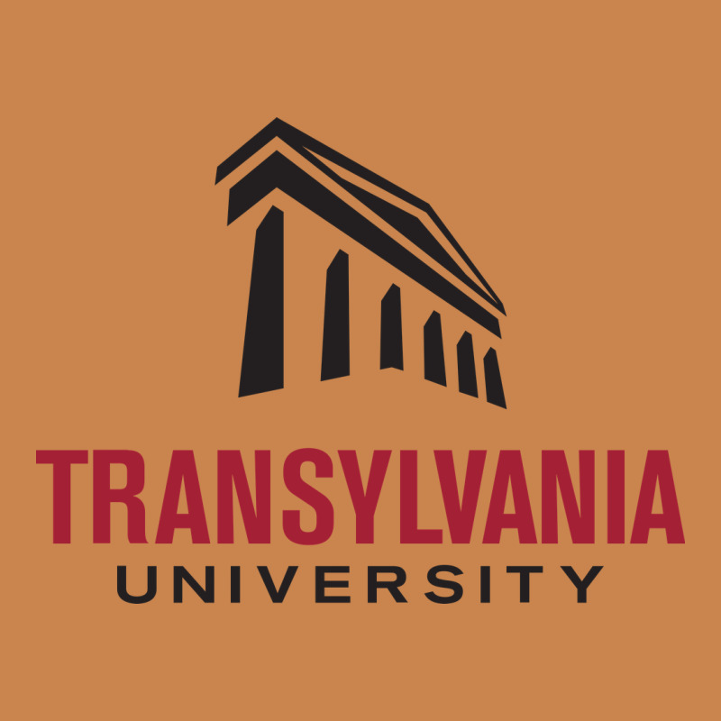 Transylvania University Heavyweight Hoodie by linhVisuals | Teevron