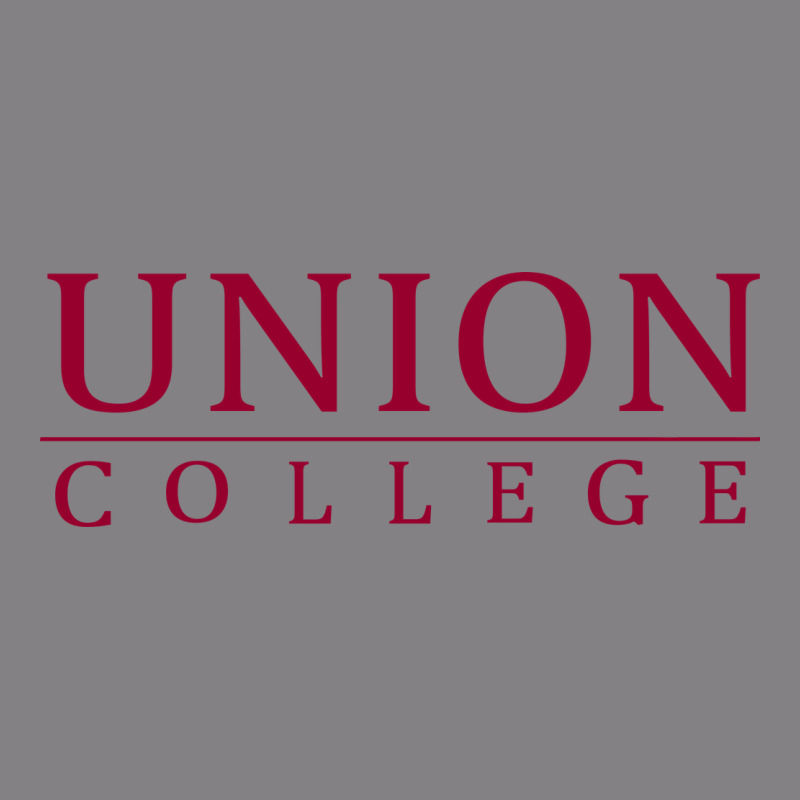 Union College Heavyweight Hoodie by linhVisuals | Teevron