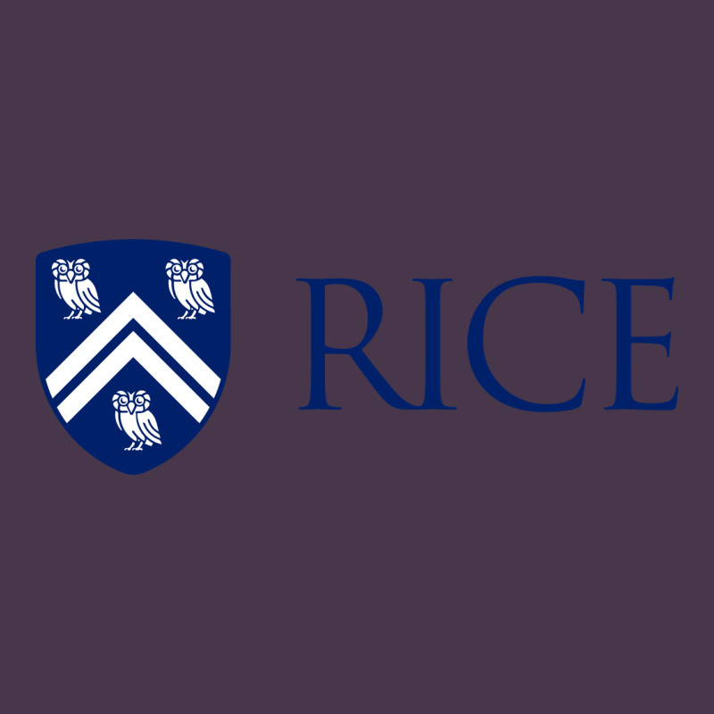 Rice University Heavyweight Hoodie by linhVisuals | Teevron