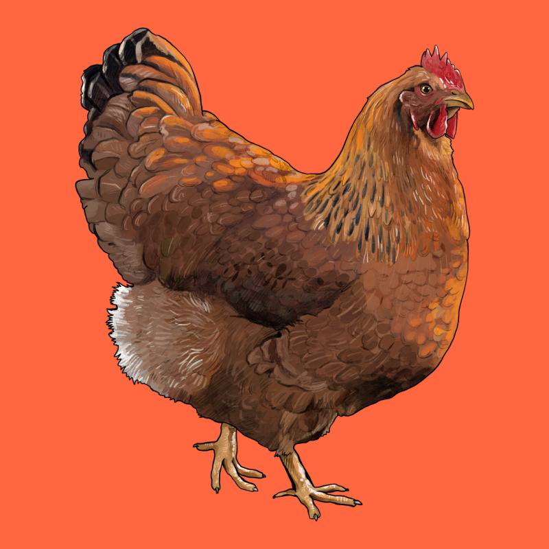 New Hampshire Red Chicken Premium Hoodie by LillyAllenDesigns | Teevron
